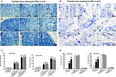 Activation of Mast Cells Promote Plasmodium berghei ANKA Infection in Murine Model